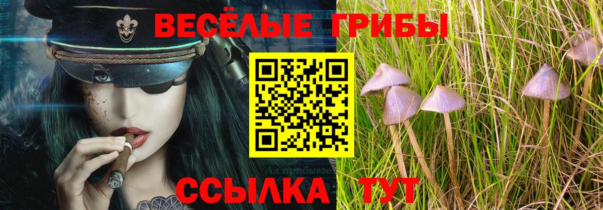 Псилоцибиновые грибы Magic Shrooms Вичуга