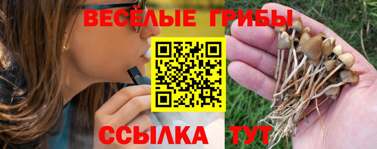Галлюциногенные грибы мицелий  Псилоцибиновые грибы мухоморы  Вход с VPN  Вичуга 